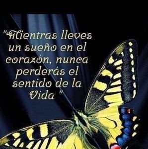 Meet your Posher, Anahi